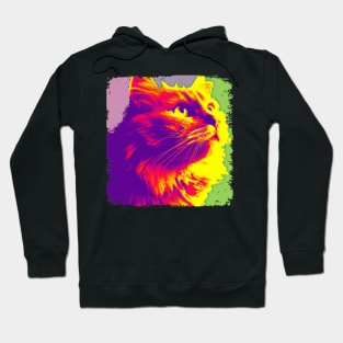 Domestic Long Hair Pop Art - Cat Lover Gift Hoodie